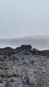 I can suck this lad outdoors all day long