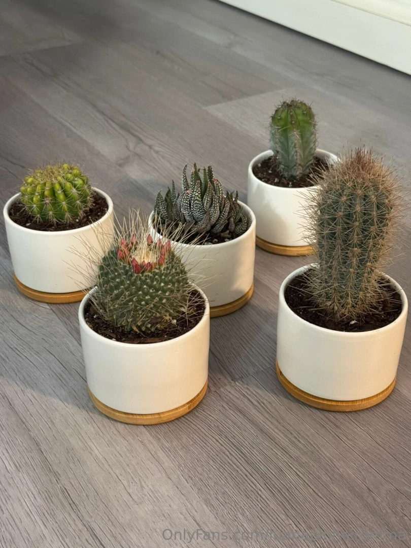 New addiction decorating my home with natural plants 