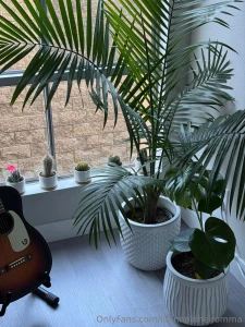 New addiction decorating my home with natural plants part 4