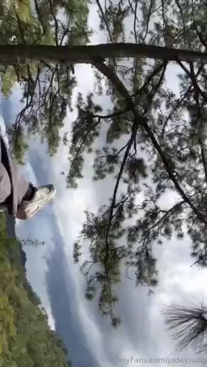 Out here in the woods thinking of you 