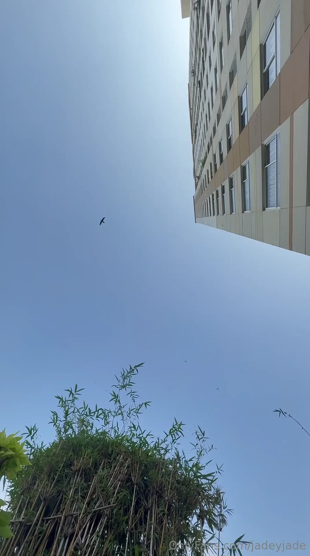 I m the calm and the chaos pick your mood 