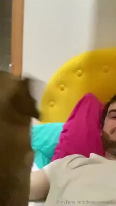 Ending the weekend with a puppy attack 