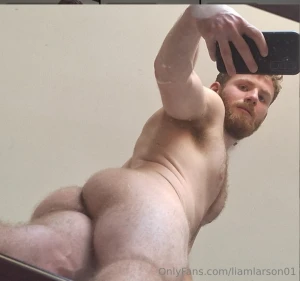 Front or back part 3175