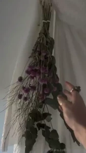 It s not bed rotting it s bed blossoming