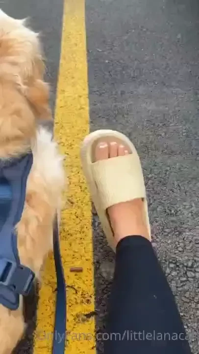 Littlelanacat part 16 