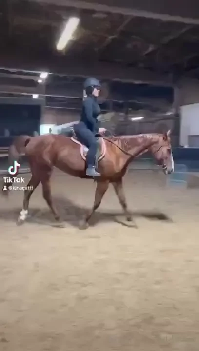 Littlelanacat part 11 