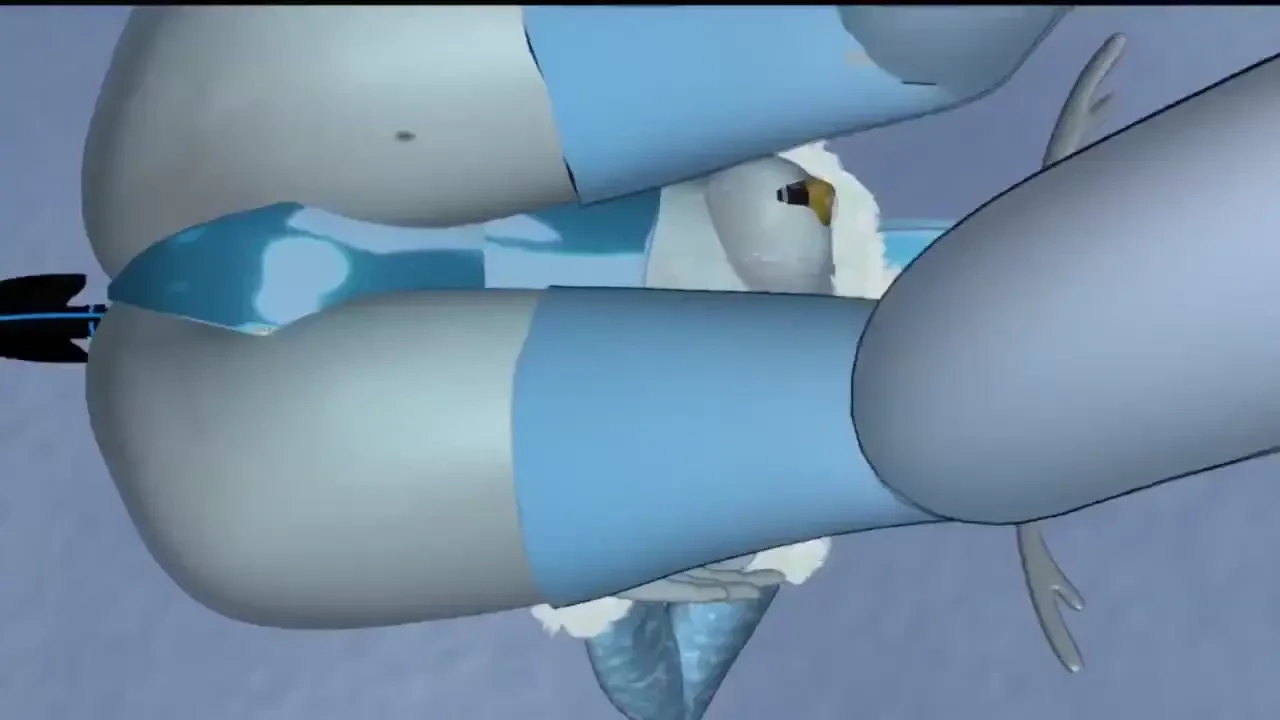 Free post winter wonderland vtubers vrchat vtuber lewdtuber vr hentai part 1 