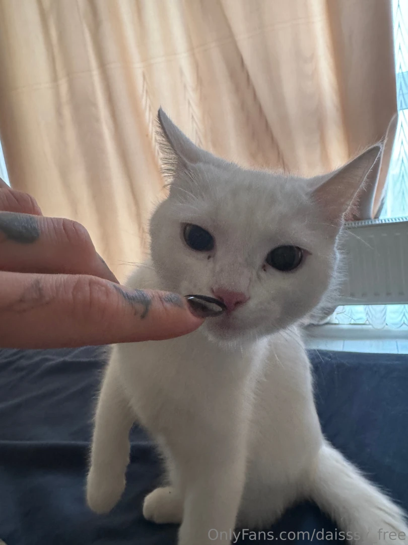 He sleeps with me every day in the bed 