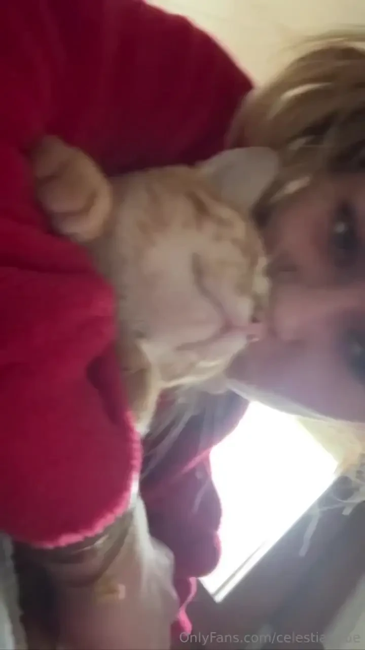 I love cats so much i just can t walk past one without cuddling and 