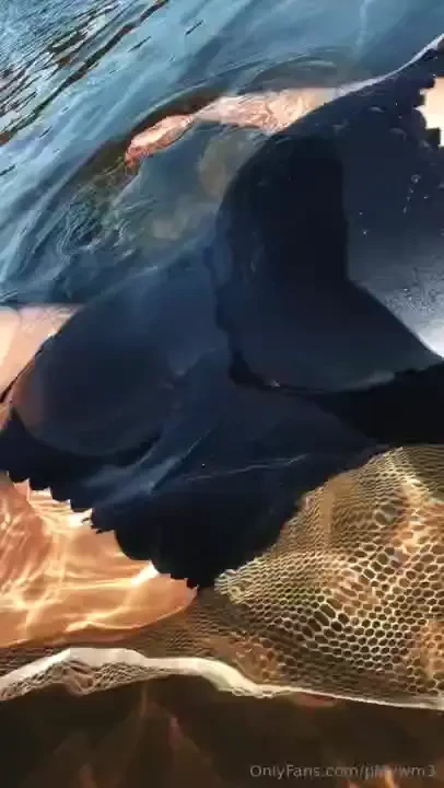 Mondays never a swim where i don t take my swim suit off have a short 