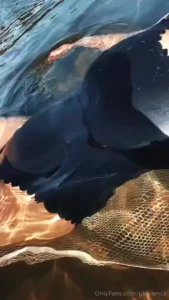 Mondays never a swim where i don t take my swim suit off have a short