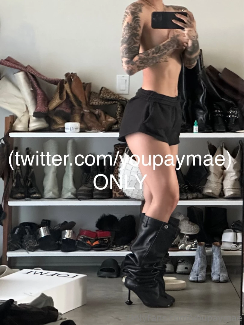 Newest 2 the boot collection good boy steve 