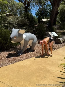 How about i crawl over you lol