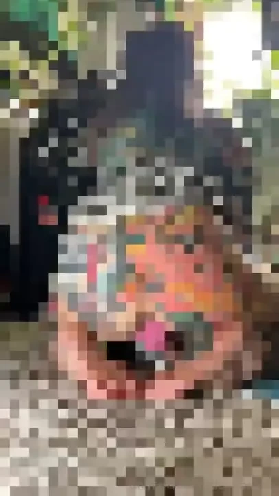 Let s take a look at some videos created this year just for you more part 10 