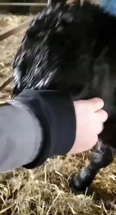 Here s a little something about me i get to help out on a farm all 