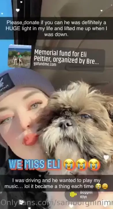 Https gofund me 968647a6 about a week ago eli passed away he s the 3rd 