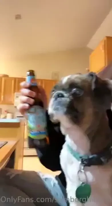 Https gofund me 968647a6 about a week ago eli passed away he s the 3rd part 3 