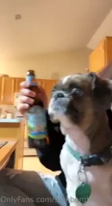 Https gofund me 968647a6 about a week ago eli passed away he s the 3rd part 3