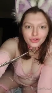 Just a little fox looking for her master