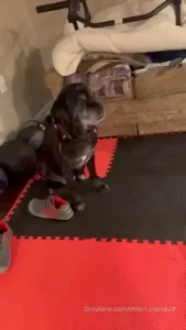 My dog judging me while i make content behindthescenes