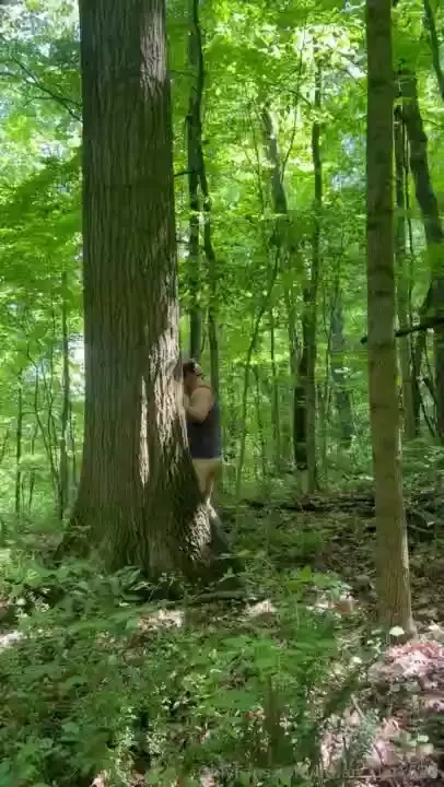 The birds and the bees 