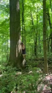 The birds and the bees