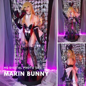 Ligerie photo set asuna fern and marin bunny part 1