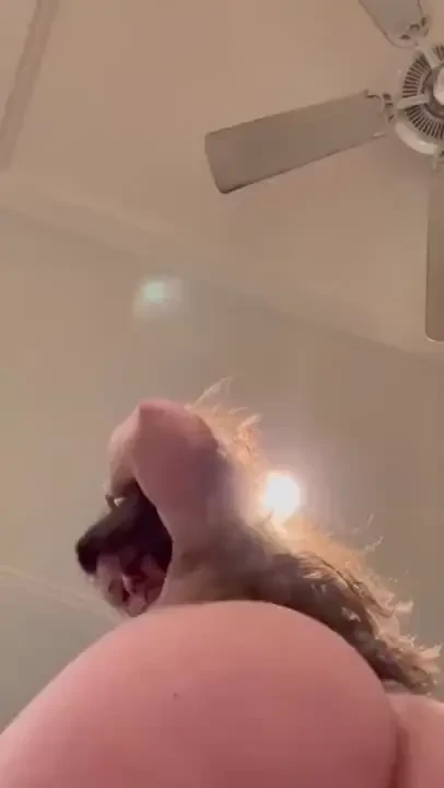 You ve found your favorite southern milf bg videos solo videos and 