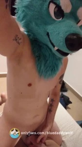 bluedaddywolf - U were a naughty wolf it s time for a punishmen 3 ft amarulawd 