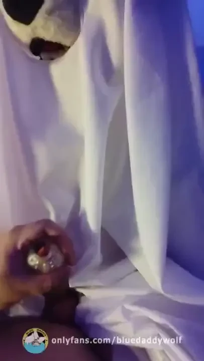 My boyfriend was chilling in bed and this horny ghost dog made a scary 