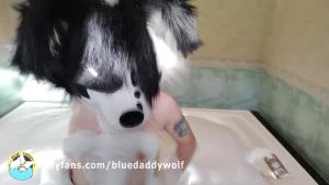 bluedaddywolf - Hello cuties i share with you the third clip that i made in the hotel 