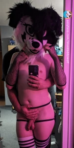 Mirror mirror on the wall who is the sexiest collie of them all ft