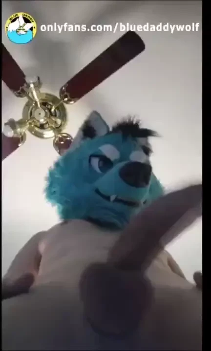 Pov dinner is served 