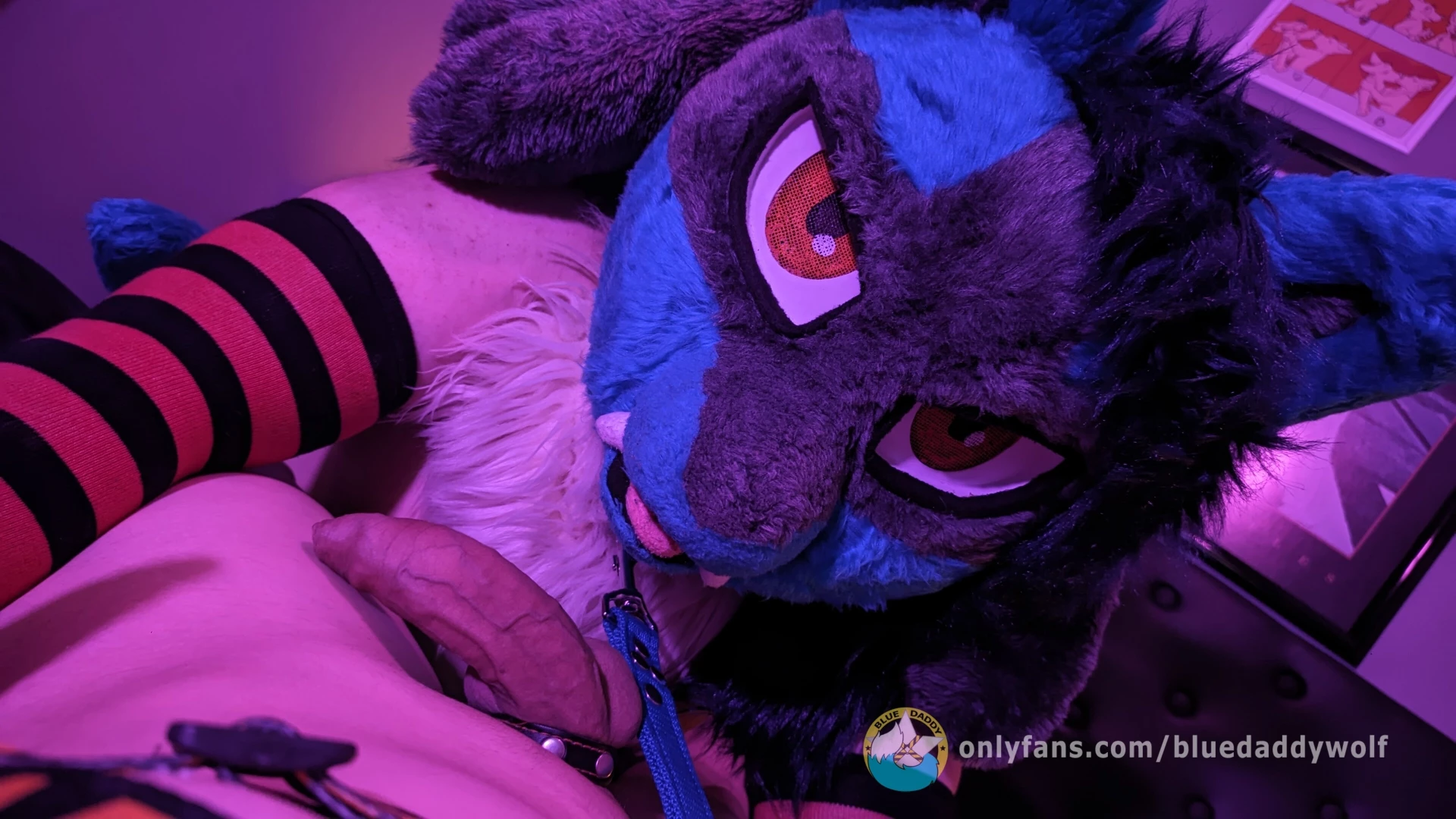 This lucario wants his rare candy ft blueauradog 