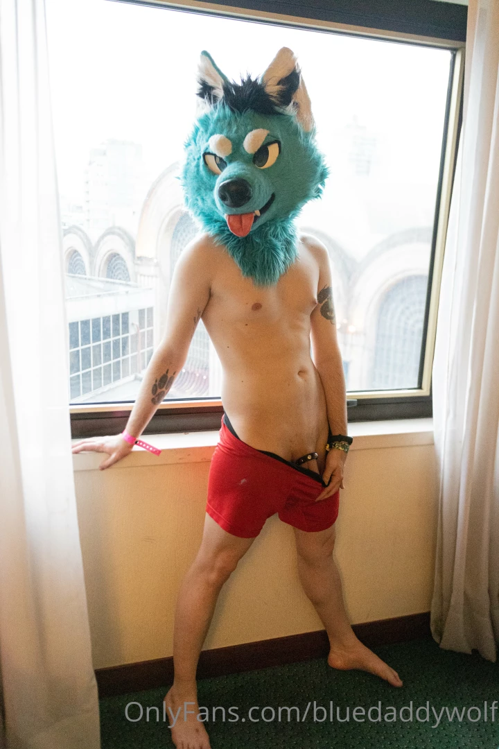 bluedaddywolf - Good morning you like the bulge i mean the view 