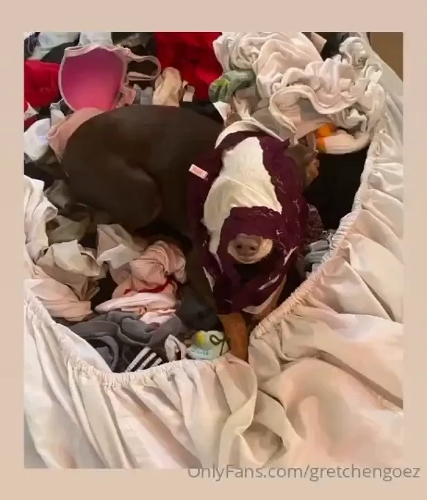 Panty drop someone grab them before she does please ok seriously 