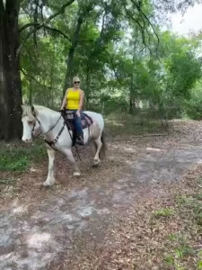 Life s been a little crazy and i ve had to spend a little while longer