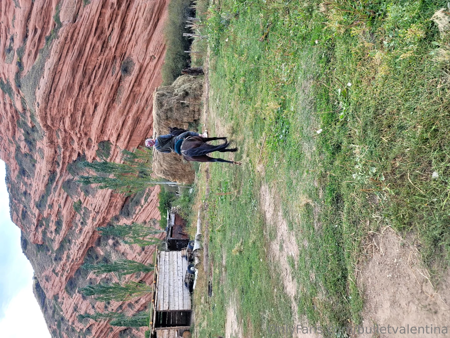Mountains of tian shan 