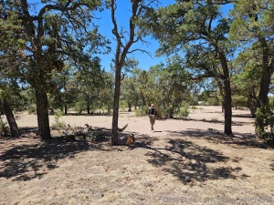 After the fight of course it s travel time driving arizona and new part 3