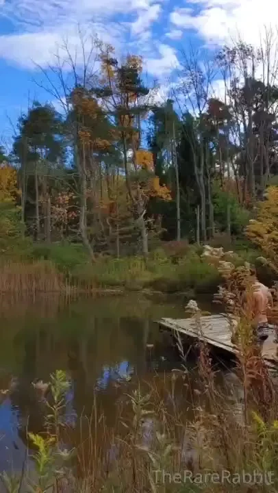 Washing off to start the day 