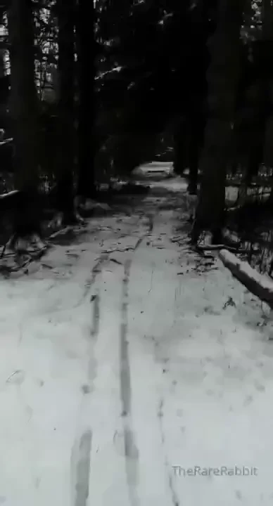 Laugh at my pain x country skiing after a freezing rain wipe out this 