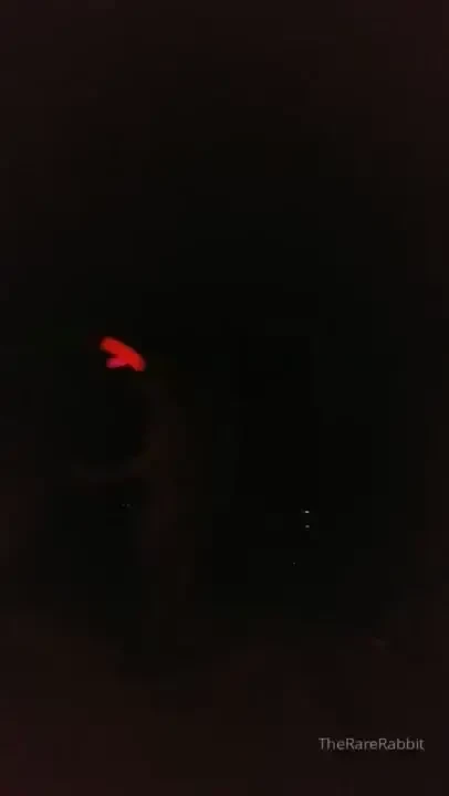 Flow with poi - light show 