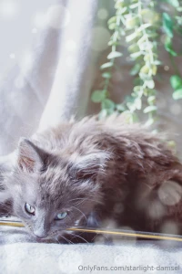 Https onlyfans com 1366364528 starlight-damsel please consider part 2