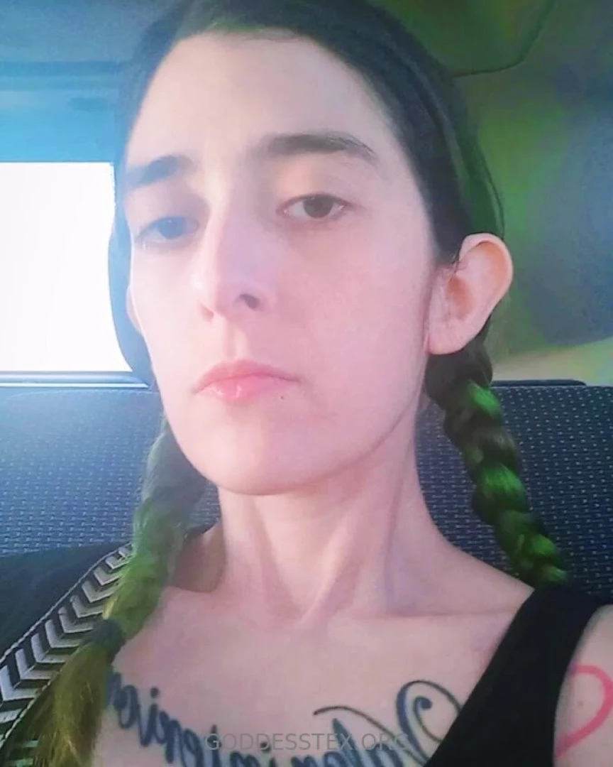 Exciting news my pets i ve created something special just for you to 