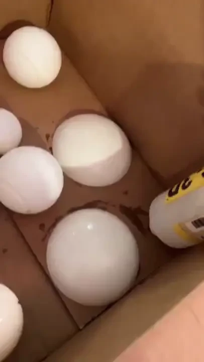 Hello frands c i hope you ve all been well amp are chilling enjoying 