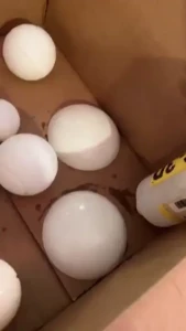 Hello frands c i hope you ve all been well amp are chilling enjoying