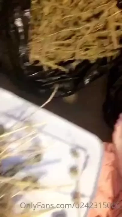 Cross your fingers i don t get in trouble for posting a plant part 2 