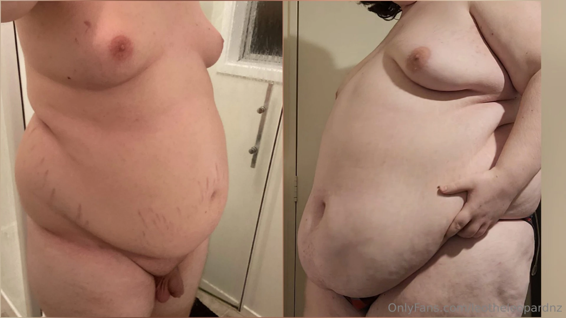 If you ve ever wanted to see a proper comparison of how fat i ve 