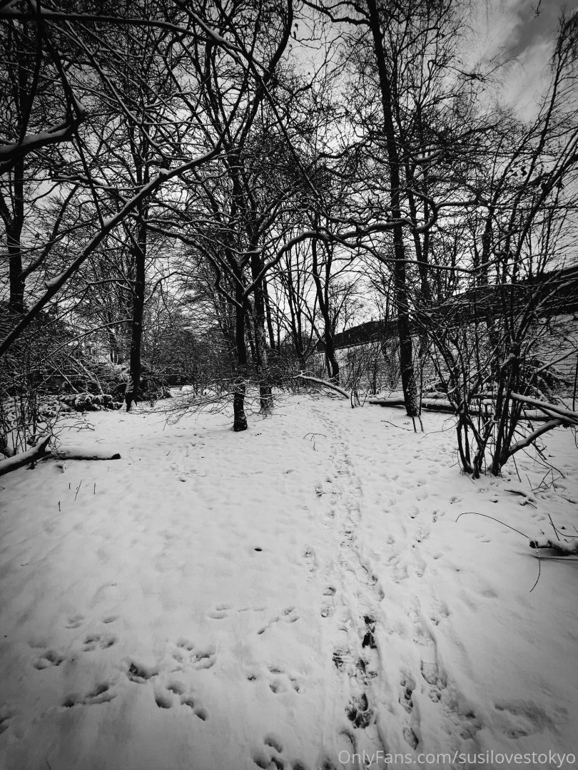 In my dark tinted world winter is the most beautiful season of all i 