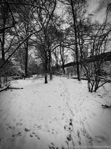 In my dark tinted world winter is the most beautiful season of all i